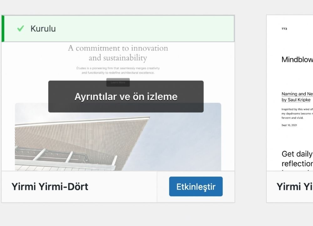 wordpress-tema-kurulumu