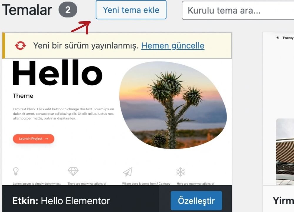 wp-tema-kurulumu